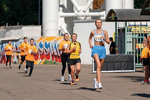 Движение транспорта полностью перекроют в центре Сочи 2 и 3 ноября