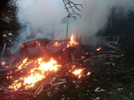 Пенсионерка сгорела в аварийном доме в Ваче