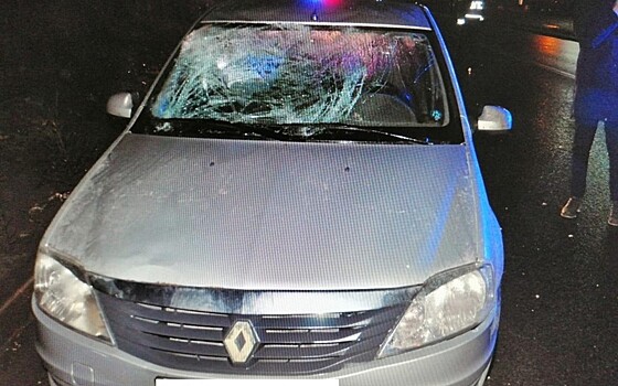 Пешехода, погибшего в Песочне, сбили две машины