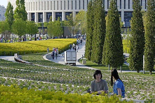 Какие необычные растения можно увидеть в парке "Краснодар"