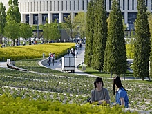 Какие необычные растения можно увидеть в парке "Краснодар"