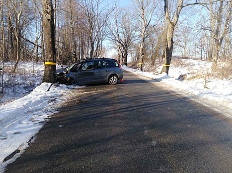 В Зеленоградском районе авто врезалось в дерево, пострадала восьмилетняя пассажирка