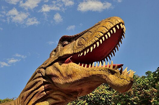 Gismeteo: В Аргентине открыт новый вид гигантских титанозавров, обитавших 90 млн лет назад