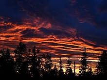 Местные слышали крики в районе исчезновения Усольцевых