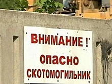 В Новосибирской области утилизируют 16 скотомогильников за 6,6 млн рублей