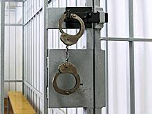 Россиянина осудили на пять лет за размещение пропагандирующих терроризм видео