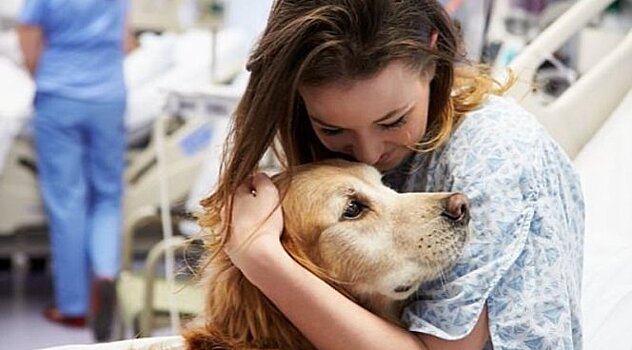 Собачьи визиты в больницах опасны для здоровья пациентов