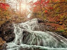 Душа моя, Корабельная