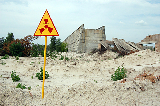 Пожар в «Чернобыльской пуще» локализован
