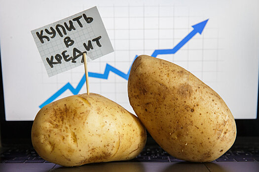 Крупной картошки в этом году будет меньше обычного