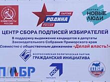 «А кто будет проверять?» Эксперты усомнились в политической акции пяти партий