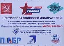 «А кто будет проверять?» Эксперты усомнились в политической акции пяти партий