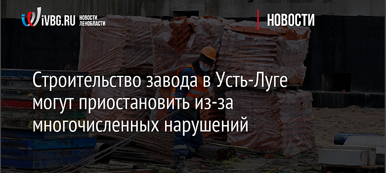 Строительство завода в Усть-Луге могут приостановить из-за многочисленных нарушений