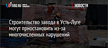 Строительство завода в Усть-Луге могут приостановить из-за многочисленных нарушений