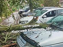 В Курске из-за сильного ветра пострадали автомобили