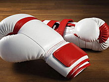 Надымские боксеры получили новый инвентарь