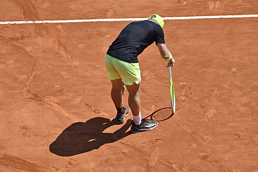 Победа над Попыриным вывела Давидовича-Фокину в полуфинал