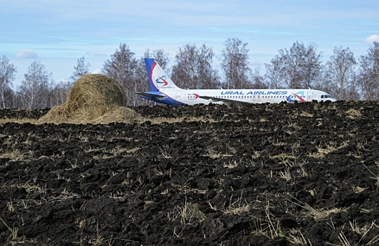 Севший в пшеничном поле самолет разберут на металлолом