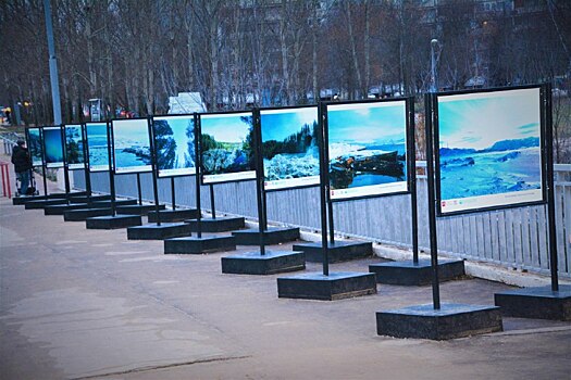 В сквере в Олонецком проезде открыли выставку «Природа Севера России»