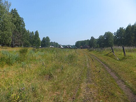 Выкупить из аренды участок ЛПХ без постройки дома: миссия выполнима, но только до конца года