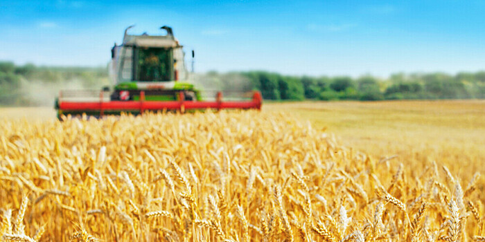 Правительство Казахстана возместит убытки аграриям