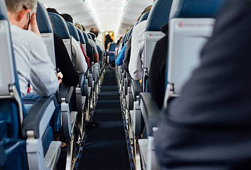 Россиянин провез крысу в самолете и спрятал ее от полиции в трусах