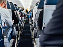 Россиянин провез крысу в самолете и спрятал ее от полиции в трусах