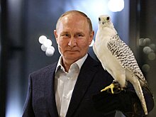 Королю Бахрейна передали редкий подарок от Путина
