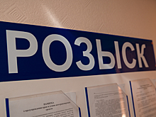 МВД РФ объявило в федеральный розыск оппозиционера Илью Яшина