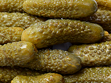 Названы лучшие маринованные огурцы