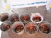 Благотворительная 25-я акция «Чья-то жизнь — уже не мелочь» пройдет в саду «Эрмитаж»