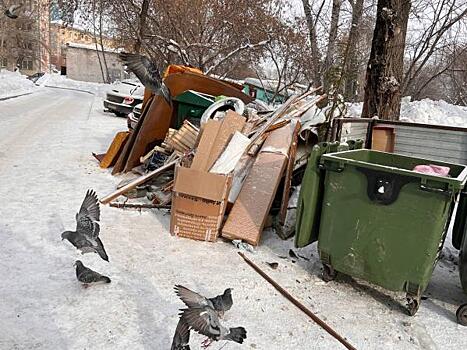 В «Спецавтохозяйстве» нашли виновных в скоплении мусора во дворах Новосибирска