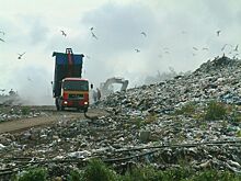 В Волгограде строитель собора Александра Невского загрязнил мусором овраг на 6 млн рублей