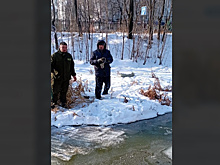 «Пара распалась: самка улетела»: охотоведы рассказали о травмированном селезне с реки Бурхановка