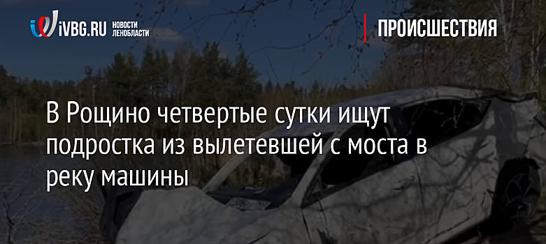 В Рощино четвертые сутки ищут подростка из вылетевшей с моста в реку машины
