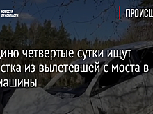 В Рощино четвертые сутки ищут подростка из вылетевшей с моста в реку машины