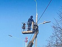 Работы по освещению дороги завершили в Кленовском