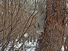 Анонсы событий и мероприятий на 28 февраля (18+)