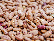 Плодовитые вредители прибыли в ХМАО из Таджикистана вместе с зирой и бобами