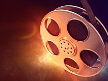 Кинопоказ «Медведи» состоится в экоцентре «Битцевский лес» 3 ноября