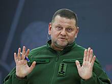 На Украине увидели признаки скорой отставки Залужного. Почему Зеленский хочет убрать главкома ВСУ?
