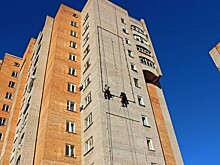 В Москве избили протестующих против строительства многоэтажки вместо детсада