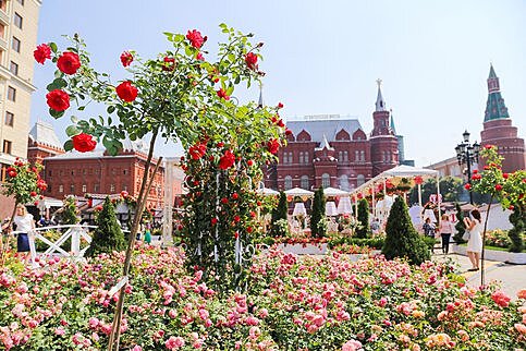 В столице пройдет фестиваль "Цветочный джем"