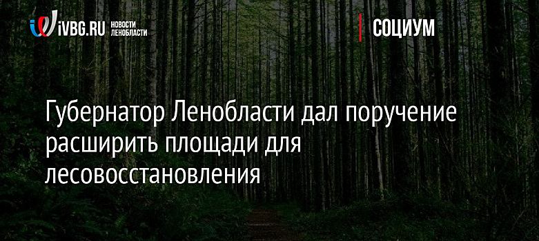 Губернатор Ленобласти дал поручение расширить площади для лесовосстановления