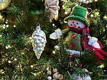 Химик объяснил, в пользу какой елки нужно сделать выбор