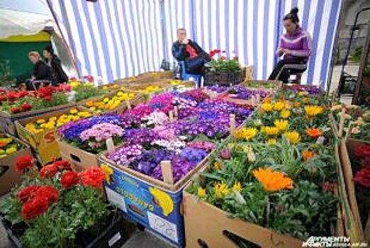 В центре Барнаула пройдет выставка-продажа растений и цветов