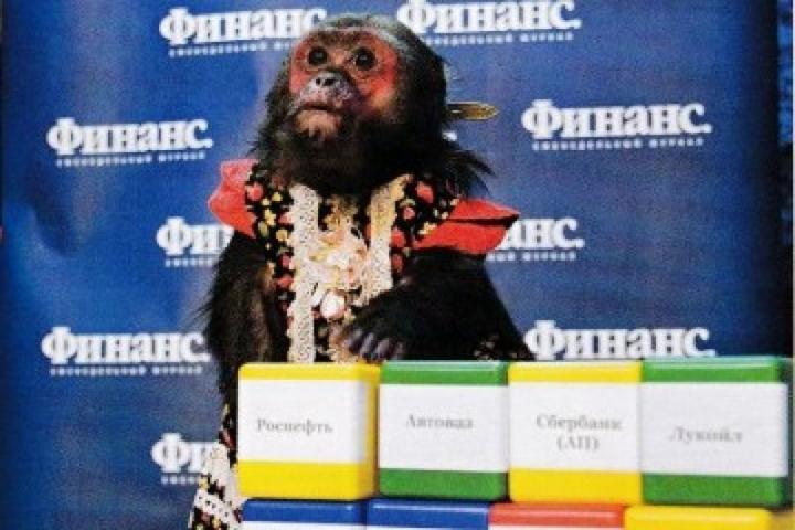Как Встречать Новый 2022 Год Обезьяны Приметы