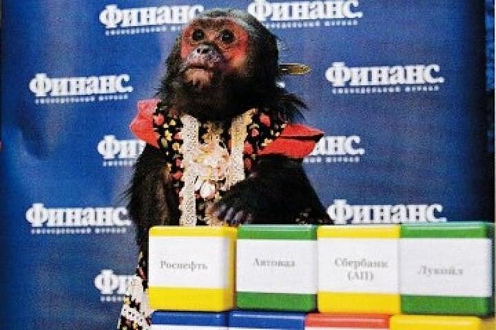 Обезьяна из Москвы «выиграла» на бирже 6 млн рублей