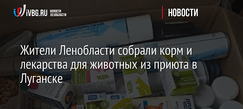 Жители Ленобласти собрали корм и лекарства для животных из приюта в Луганске