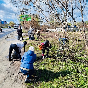 Куряне подхватили Всероссийский субботник